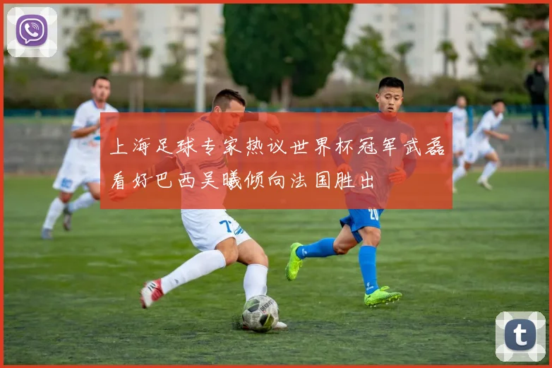 上海足球专家热议世界杯冠军武磊看好巴西吴曦倾向法国胜出